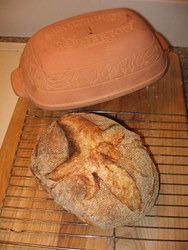 Breadtopia Clay Baker — Batard – Breadtopia