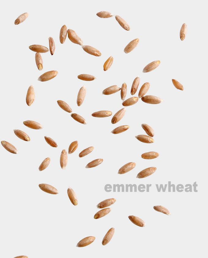 Emmer Wheat Berries