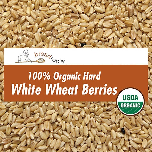 Organic Hard White Wheat Berries Breadtopia