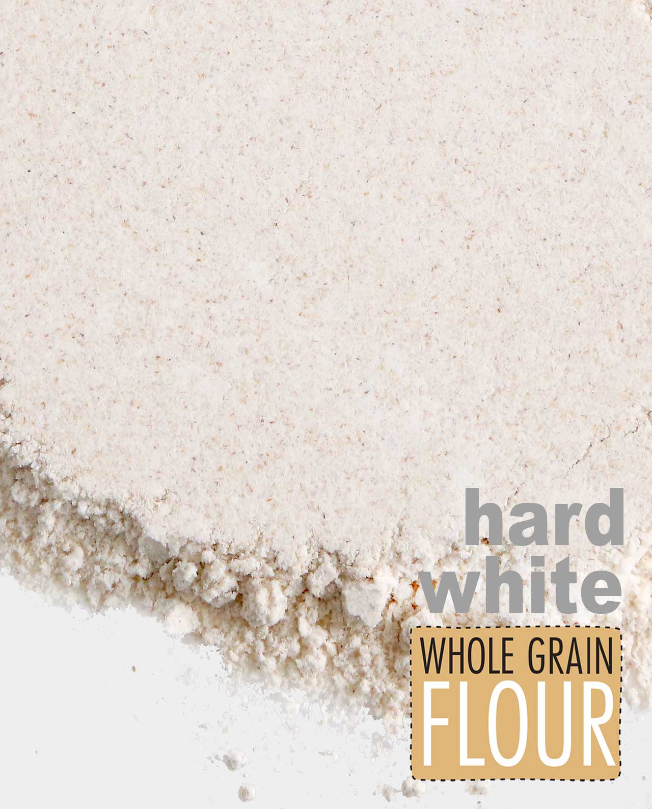 Hard White Spring Whole Grain Flour