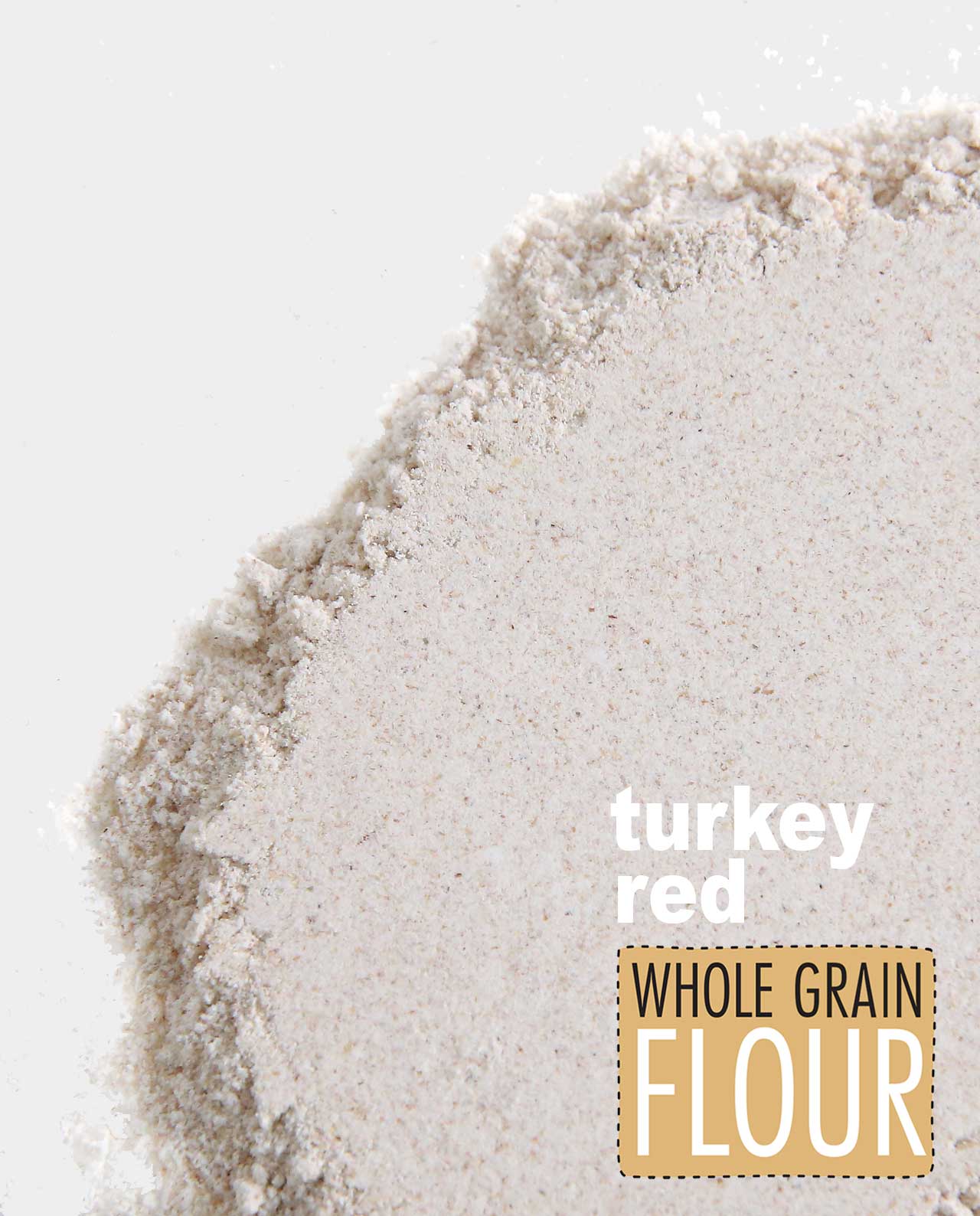 Turkey Red Whole Grain Flour