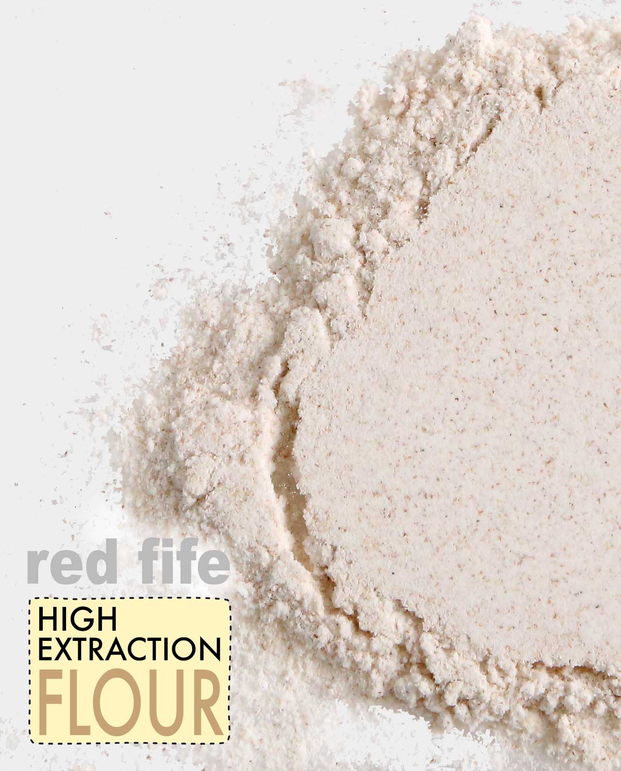Red Fife High Extraction Wheat Flour