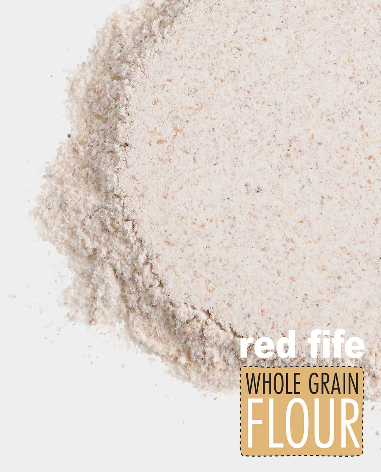 Red Fife Whole Grain Flour