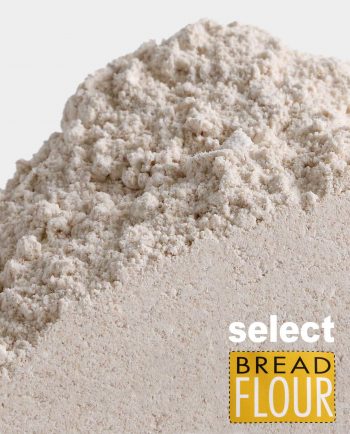 ProKeeper+ Flour Storage – Mockingbird Hospitality