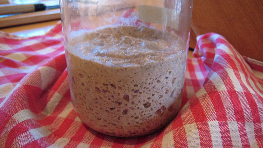 More than you need to know about keeping your sourdough starter happy, healthy, and ready to bake with.