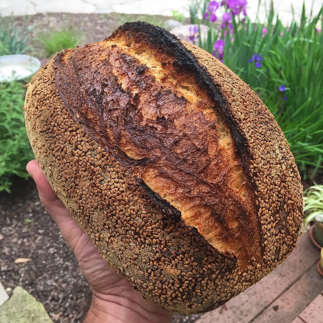 Breadtopia Oblong Baker