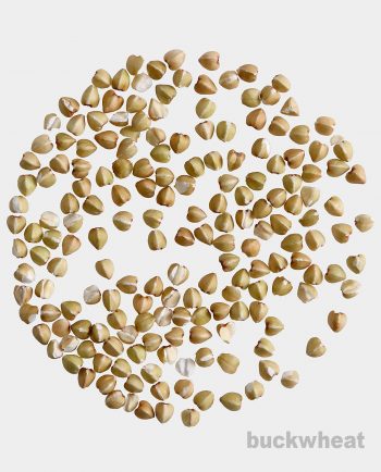 https://breadtopia.com/wp-content/uploads/2016/09/BT-buckwheat-groats-350x434.jpg