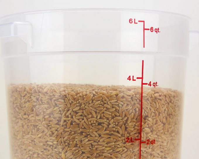Dough Rising and Storage Bucket with Lid — 6 qt. Round