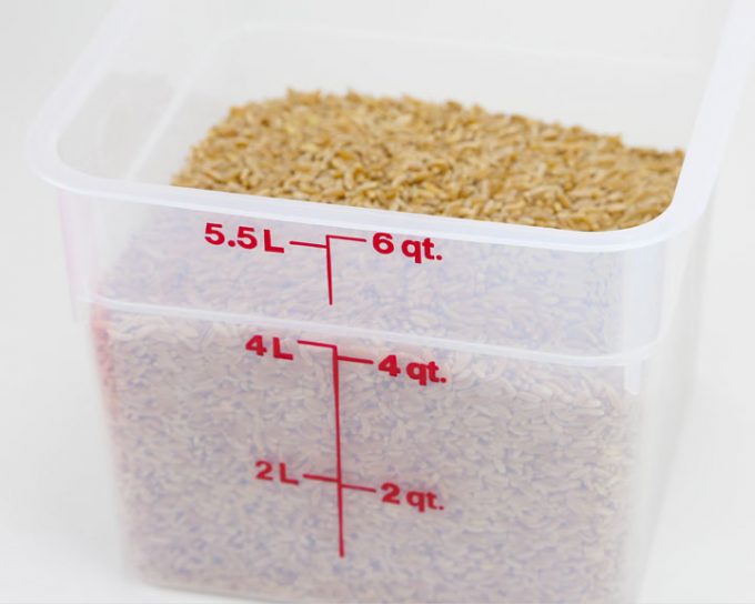Dough and Storage Bucket with Lid — 6 qt. Square