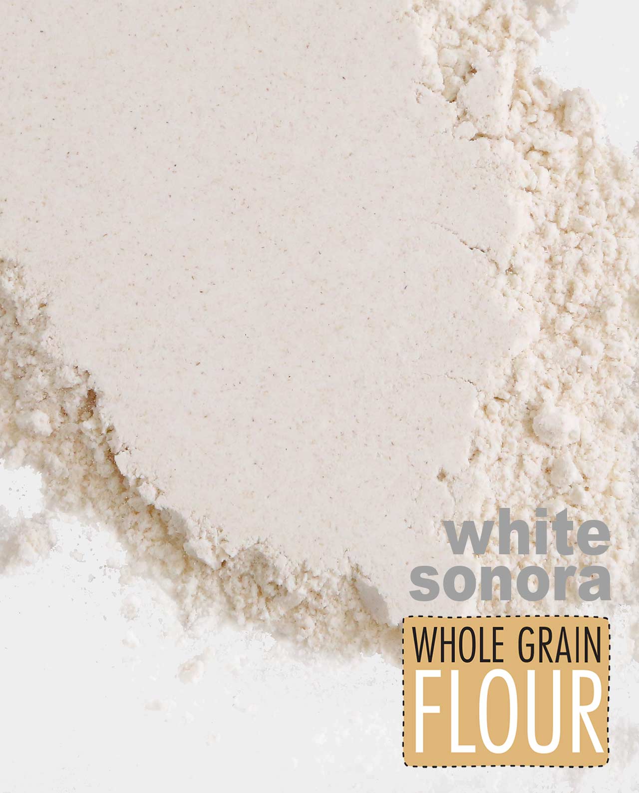 White Sonora Whole Grain Flour