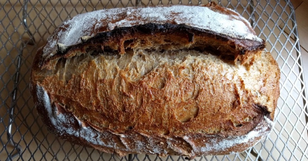 Crust of Whole Grain Sourdough Rustic Country Loaf