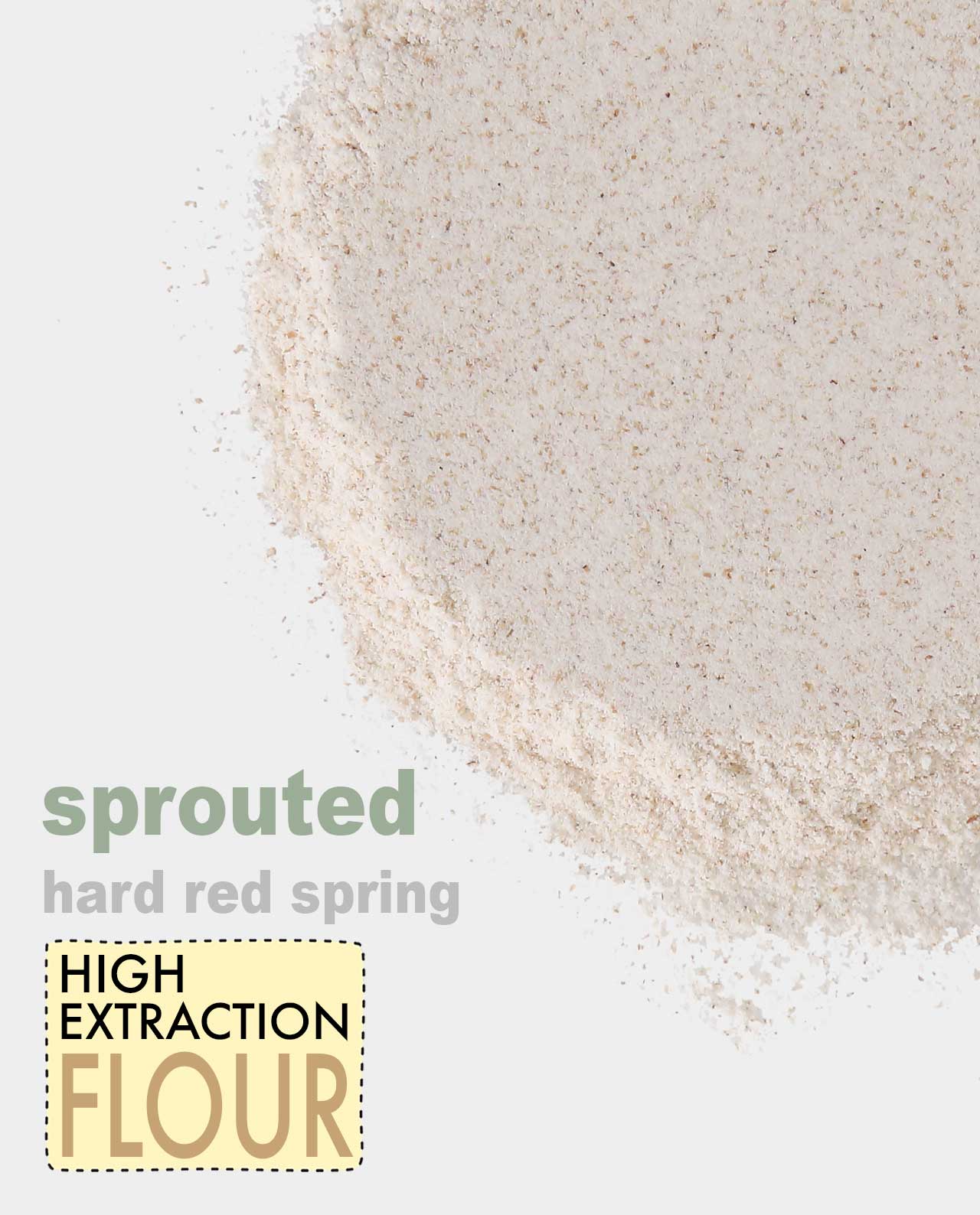 Sprouted Hard Red Spring High Extraction Flour