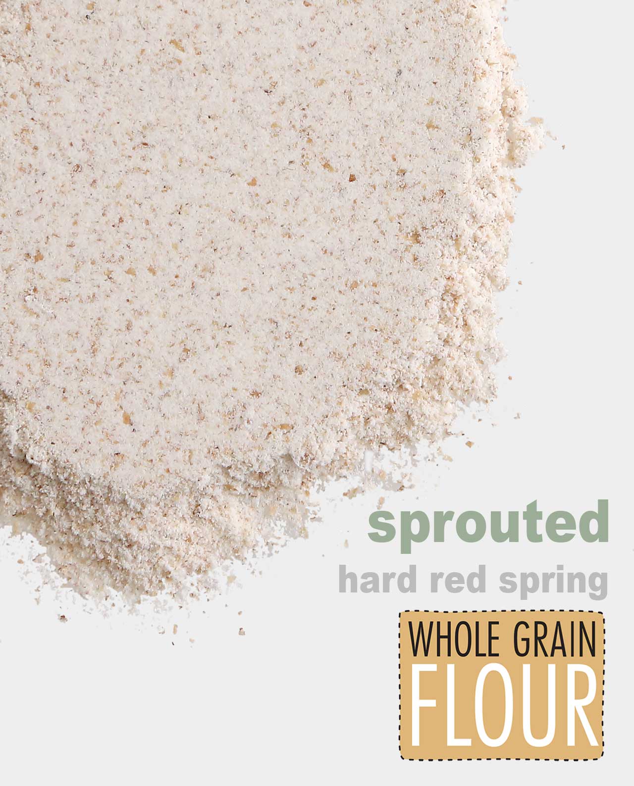 Sprouted Hard Red Spring Whole Grain Flour