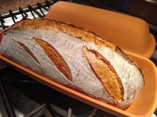 Breadtopia Cloche Bread Baker — Oblong