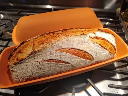 Breadtopia Cloche Bread Baker — Oblong