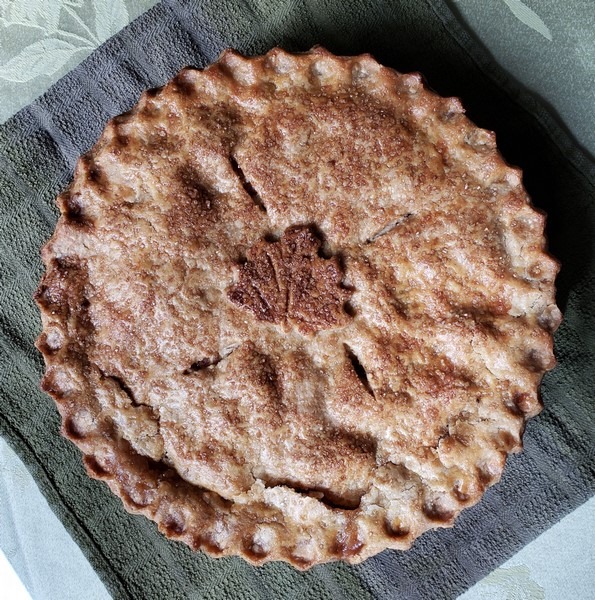Apple Pie with White Sonora Wheat Crust – Breadtopia