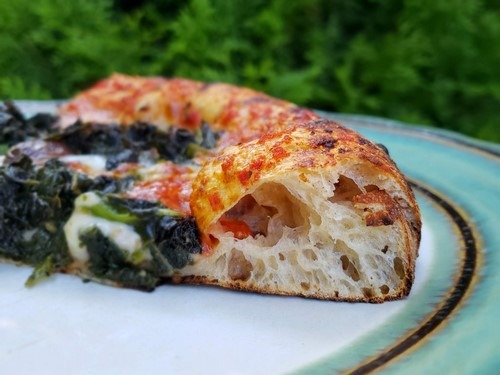 Top 5 Tips for Using a Gas Pizza Oven + Sourdough Pizza Recipe!