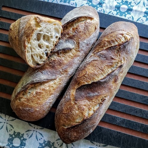 Demi Baguettes with Yecora Rojo Wheat