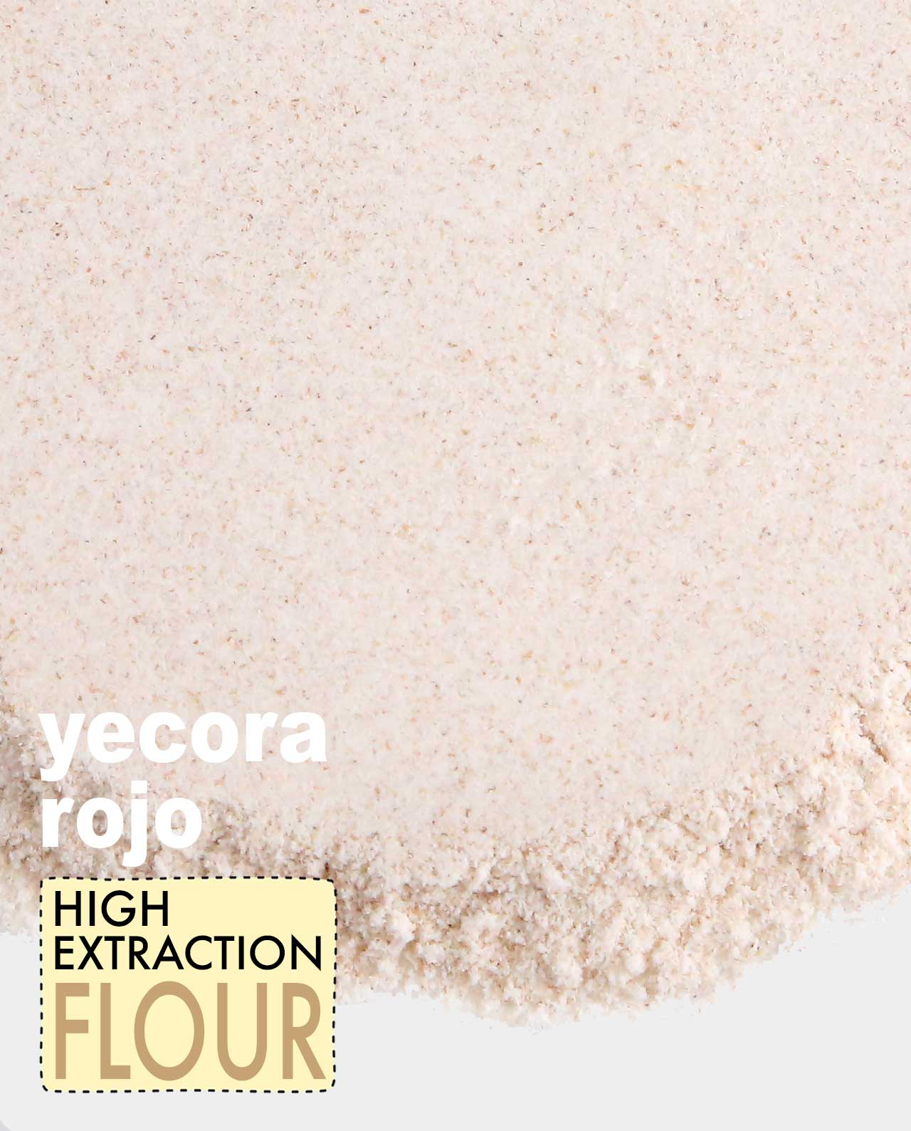 Yecora Rojo High Extraction Flour
