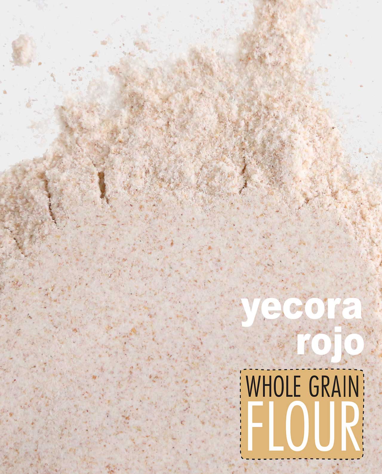 Yecora Rojo Whole Grain Flour