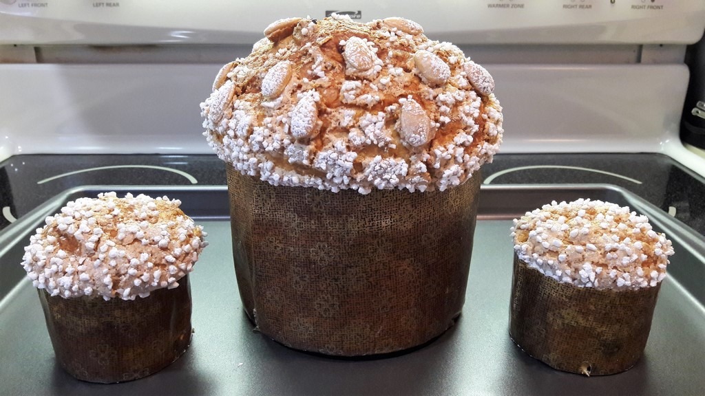 How to Spot a High Quality Panettone? 