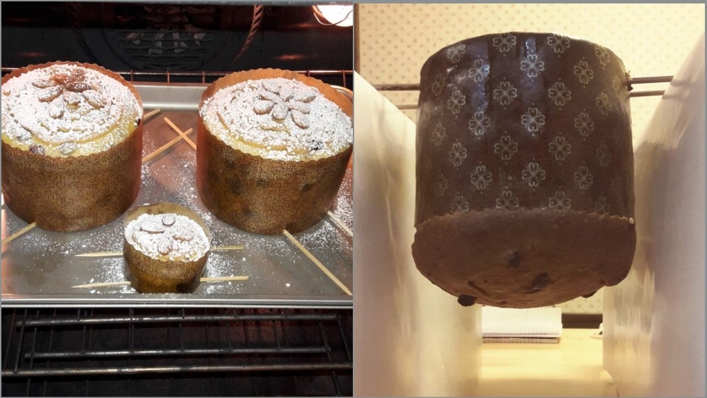Panettone - Bake from Scratch