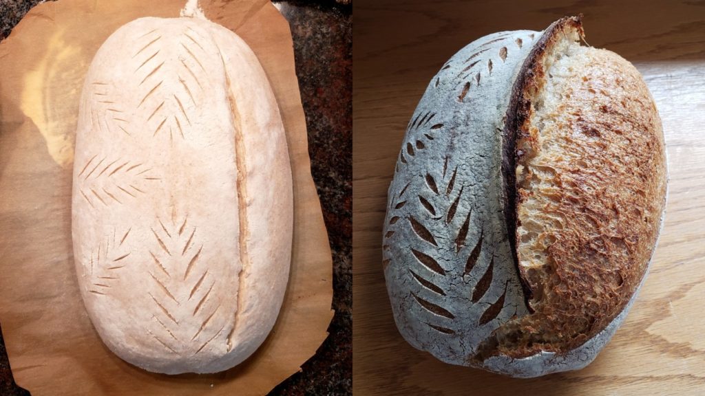 Decorative scoring of your artisan bread can really enhance its appearance and make a loaf look and feel special. We've compiled some scoring tips and tricks along with video demonstrations.