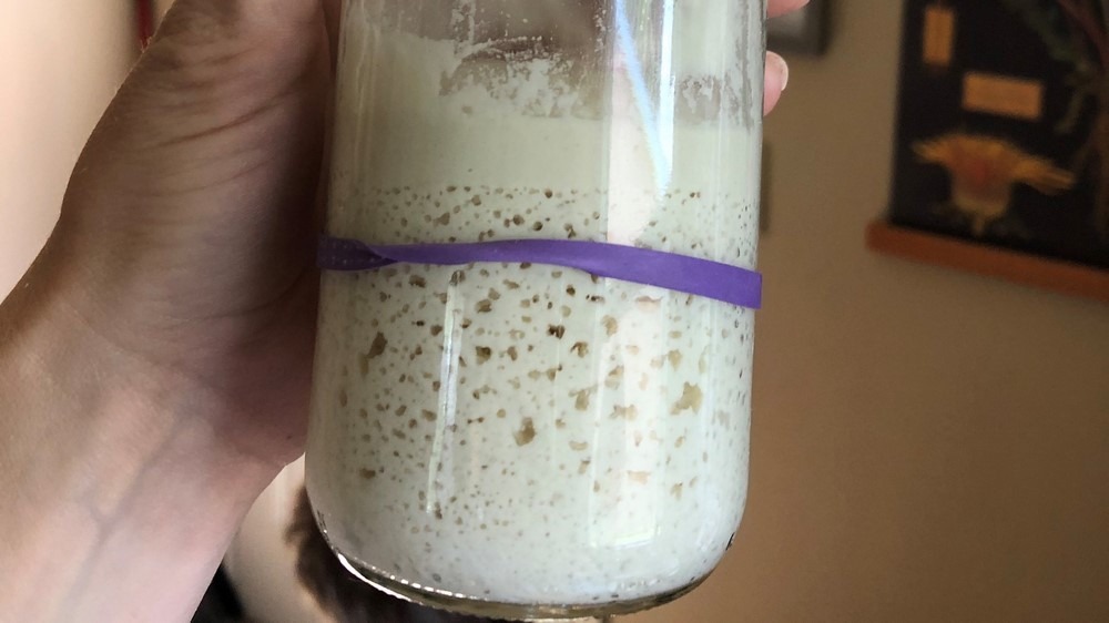How to create and maintain your own gluten free sourdough starter.