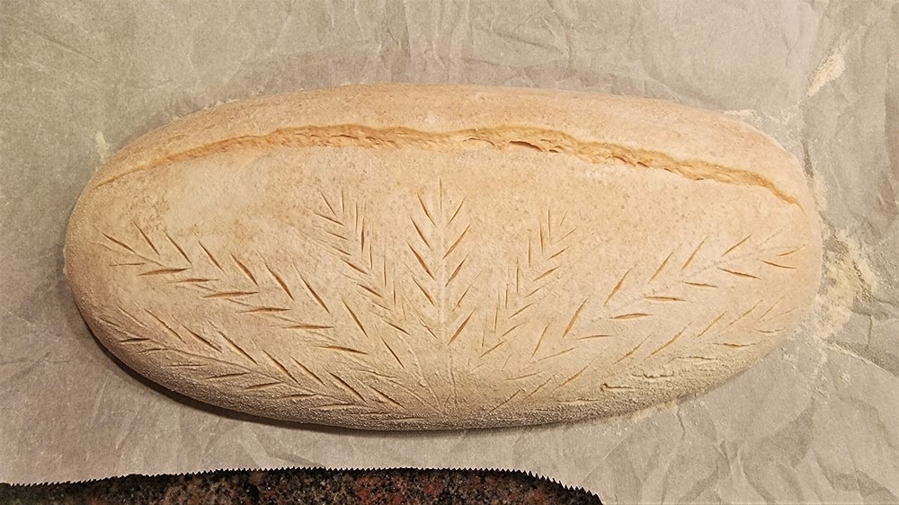 Breadtopia Clay Baker – Batard 
