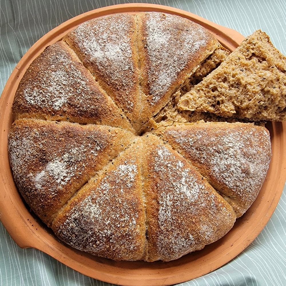 Panis Quadratus: Ancient Bread of Pompeii