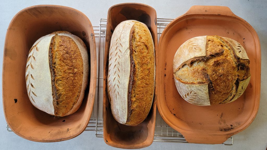 Breadtopia Cloche Bread Baker — Oblong – Breadtopia