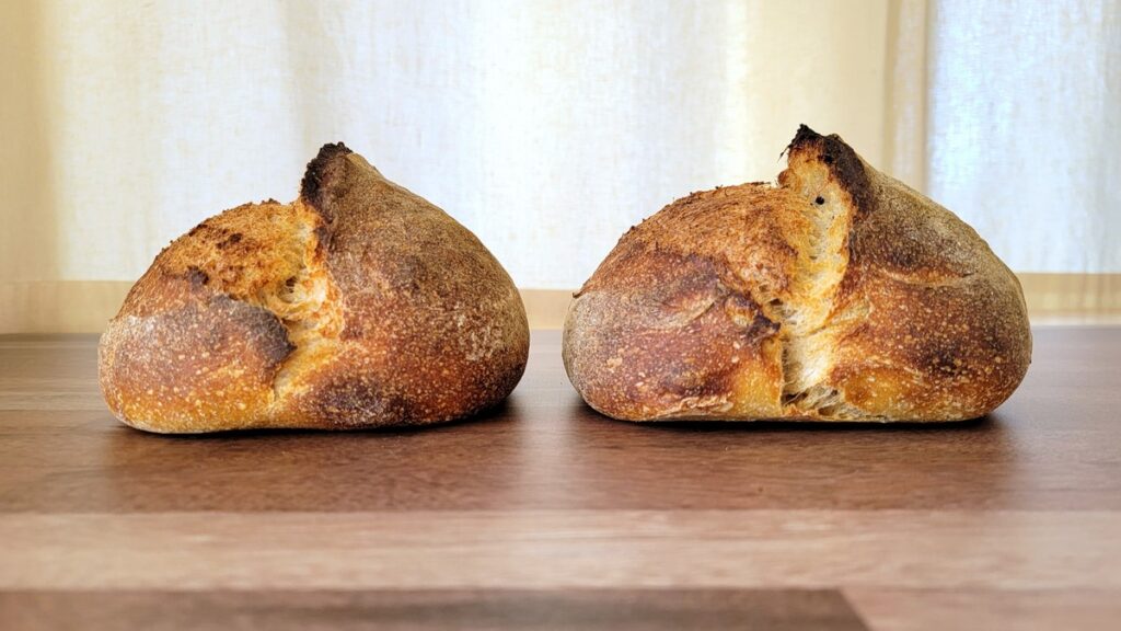 An ear on bread is when the score or cut is wide open and one side is curled back and deeply toasted on the edge. Ears are neat and actually pretty easy to achieve if you’re using a stronger flour. In this post we explain how an ear is formed and detail multiple techniques for making sure your artisan loaf will not end up hard of hearing.
