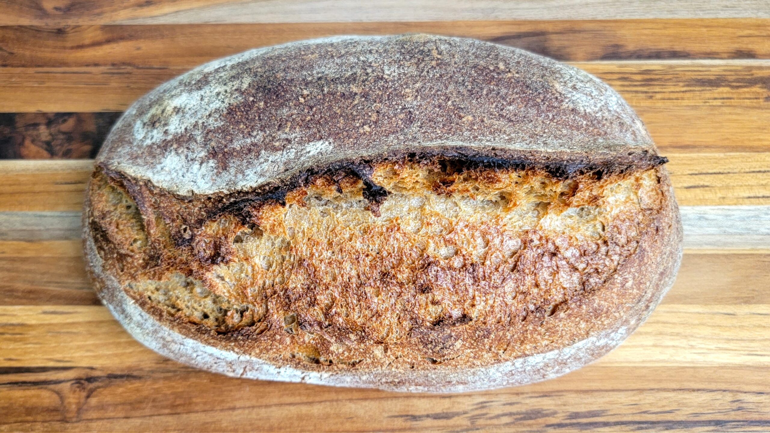Breadtopia's Choice Kitchen Scale – Breadtopia