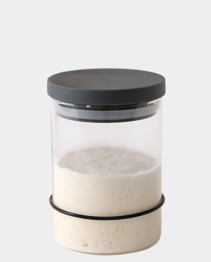 Breadtopia Sourdough Starter Jar