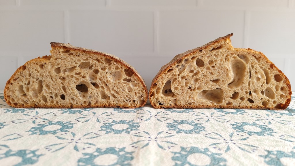 This experiment looks at shaping dough earlier versus later in the rising process. The goal is to assess the impact on crumb, loaf height, and score bloom of ending the bulk fermentation at different points on the fermentation (dough rising) curve. The total fermentation of the two doughs is the same, but one dough has a shorter bulk fermentation and a longer final proof and the other a longer bulk fermentation and shorter final proof.